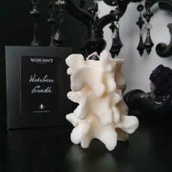 Best Pirce 🌟 WIXCRAFT CANDLES Gothic Homewares Vertebrae | CANDLE` 🥰 9 Best Pirce 🌟 WIXCRAFT CANDLES Gothic Homewares Vertebrae | CANDLE` 🥰 -DECOR Sales Store 20220401 113404 540x 1d61f527 528d 4d01 bd2a 1f48746492c1 700x700