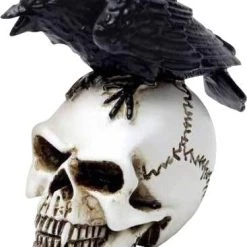 New 🛒 ALCHEMY GOTHIC Gothic Homewares Raven Skull | MINIATURE ✨