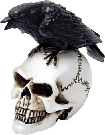 New 🛒 ALCHEMY GOTHIC Gothic Homewares Raven Skull | MINIATURE ✨ 3 New 🛒 ALCHEMY GOTHIC Gothic Homewares Raven Skull | MINIATURE ✨