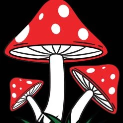 Promo 🎉 BESERK CRYPT Gothic Homewares Mushroom | TAPESTRY BLANKET 🌟 -DECOR Sales Store beserk crypt mushroom printed tapestry 04 154696ff 0465 419c 9949 b48f87d1e6b3 700x700