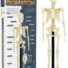 Cheap 😍 FUNTIME Skulls Anatomical Skeleton | KIT 🤩 -DECOR Sales Store funtime anatomical skeleton kit 1 c709c3f6 3cdf 4495 9aaa 77b4ea9385d9 700x700