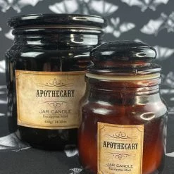 Best Pirce ⭐ GOTHIC GIFTS Gothic Homewares Apothecary [Eucalyptus Mint] | CANDLE 💯