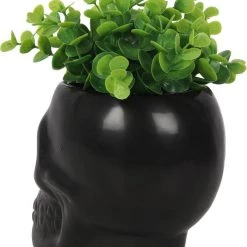 Hot Sale ⌛ GOTHIC GIFTS Gothic Homewares Black Skull | PLANT POT ❤️ -DECOR Sales Store gothic gifts black skull plant pot 2 e4c088d7 9f6c 43ac 8214 6c097b0ec083 700x700