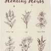 Promo 🎉 GOTHIC GIFTS All Healing Herbs | TEA TOWEL ✨ -DECOR Sales Store gothic gifts healing herbs tea towel 1 aed11ed2 e0a1 406f 9d6c f398f395b081 700x700