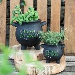 Cheapest 🎁 GOTHIC GIFTS All Herbs For Spells [Large] | CAULDRON PLANT POT 😀 -DECOR Sales Store gothic gifts large herbs for spells cauldron plant pot 3 9a50e6ff 6461 44c5 ab80 672bed6e01ad 700x700