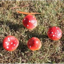 Cheap 🛒 GOTHIC GIFTS Gothic Homewares Mushrooms [SET 4] | GARDEN STAKES 🧨 -DECOR Sales Store gothic gifts mushroom garden stake set 5 242979ae 9a32 434c bec9 895ebd7bd218 700x700