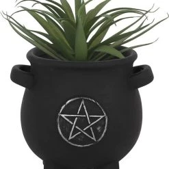 Deals 🔥 GOTHIC GIFTS Gothic Homewares Pentagram | CAULDRON PLANT POT 🔥 -DECOR Sales Store gothic gifts pentagram cauldron terracotta plant pot 2 6ddbb954 0028 4733 96f3 d576e3b16aaf 700x700