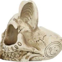 Hot Sale ⌛ GOTHIC GIFTS Cats Spirit Board | CAT SKULL ORNAMENT 💯 -DECOR Sales Store gothic gifts spirit board cat skull ornament 2 9772b8be b973 4b22 ab41 25005d1e7441 700x700