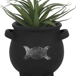 Best Pirce ⭐ GOTHIC GIFTS Gothic Homewares Triple Moon | CAULDRON PLANT POT ⌛ -DECOR Sales Store gothic gifts triple moon cauldron terracotta plant pot 2 5d9da40f 56bc 4f61 a57a afb2f287504c 700x700