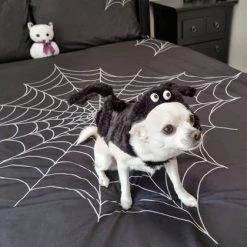 Best Sale 👍 HELLS BLANKETS Gothic Homewares Web Of Nightmares | KING QUILT SET 👏 -DECOR Sales Store hells blankets web of nightmares quilt set 06 2b38e160 07bc 43d2 ad26 9082c28ef4e0 700x700