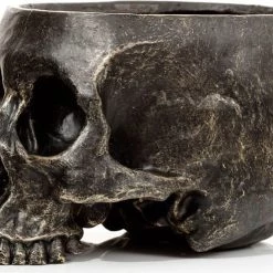 Discount 🔥 HOMEWARES Gothic Homewares Skull | GARDEN PLANTER 🎉