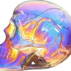 Cheap π HOMEWARES Rainbows & Pride Skulls And Roses | IRIDESCENT RAINBOW LED π 13 Cheap π HOMEWARES Rainbows & Pride Skulls And Roses | IRIDESCENT RAINBOW LED π -DECOR Sales Store homewares skulls and roses iridescent rainbow led 4 fef1525f 77e2 4c68 bb61 842fb5cef092 700x700