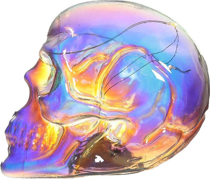 Cheap π HOMEWARES Rainbows & Pride Skulls And Roses | IRIDESCENT RAINBOW LED π 6 Cheap π HOMEWARES Rainbows & Pride Skulls And Roses | IRIDESCENT RAINBOW LED π - Image 4