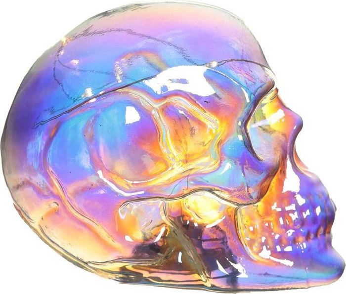 Cheap π HOMEWARES Rainbows & Pride Skulls And Roses | IRIDESCENT RAINBOW LED π 7 Cheap π HOMEWARES Rainbows & Pride Skulls And Roses | IRIDESCENT RAINBOW LED π - Image 5