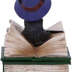 Buy ✨ NEMESIS NOW Gothic Homewares Binx | TRINKET BOX FIGURINE 😀 -DECOR Sales Store nemesis now binx figurine 3 b0ccae84 7852 4988 9126 e41978d81342 700x700