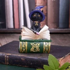 Buy ✨ NEMESIS NOW Gothic Homewares Binx | TRINKET BOX FIGURINE 😀 -DECOR Sales Store nemesis now binx figurine 6 c6be874d 745f 4d4a 87c2 69e37ec5bdad 700x700