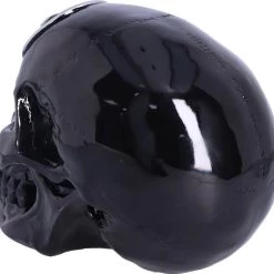 Best deal ⌛ NEMESIS NOW Gothic Homewares Black Magic | SKULL 🔥 -DECOR Sales Store nemesis now black magic skull 4 beb750d0 3495 45c7 a179 0309700d7f63 700x700