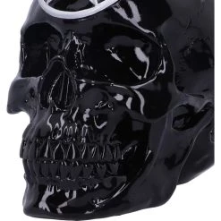 Best deal ⌛ NEMESIS NOW Gothic Homewares Black Magic | SKULL 🔥 -DECOR Sales Store nemesis now black magic skull 6 bddd02fe e8d6 4900 b4e7 e86e90949003 700x700