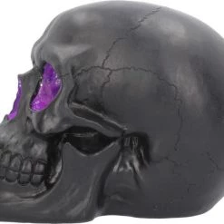 Best Pirce 😉 NEMESIS NOW Gothic Homewares Geode [Pink/Purple] | SKULL` 🧨 -DECOR Sales Store nemesis now geode skull figurine 3 0bba8b93 7462 473c 9284 4a0e5908277b 700x700