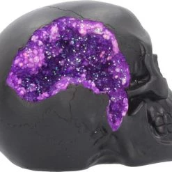 Best Pirce 😉 NEMESIS NOW Gothic Homewares Geode [Pink/Purple] | SKULL` 🧨 -DECOR Sales Store nemesis now geode skull figurine 6 54a23d75 7a1f 4b56 a96d 83f0c3d9e826 700x700