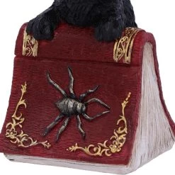 Top 10 😀 NEMESIS NOW Gothic Homewares Hocus | FIGURINE 🎁 -DECOR Sales Store nemesis now hocus figurine 4 c3a5394c 27e2 4199 a103 50c9e45c767a 700x700