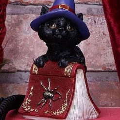 Top 10 😀 NEMESIS NOW Gothic Homewares Hocus | FIGURINE 🎁