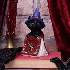 Top 10 😀 NEMESIS NOW Gothic Homewares Hocus | FIGURINE 🎁 -DECOR Sales Store nemesis now hocus figurine 5 ab45eeff dbeb 46b6 8da7 14babab843e3 700x700
