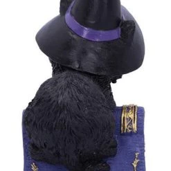 Coupon 🎉 NEMESIS NOW Gothic Homewares Pocus | FIGURINE` ⭐ -DECOR Sales Store nemesis now pocus figurine 2 37b48678 5ced 4872 a63b 88117bb77807 700x700