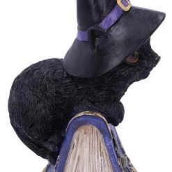 Coupon 🎉 NEMESIS NOW Gothic Homewares Pocus | FIGURINE` ⭐ -DECOR Sales Store nemesis now pocus figurine 3 c7754422 ebae 495e a278 b99323629113 700x700