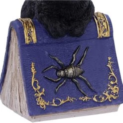 Coupon 🎉 NEMESIS NOW Gothic Homewares Pocus | FIGURINE` ⭐ -DECOR Sales Store nemesis now pocus figurine 4 5032ef6a 9d18 45c5 b4f2 535c5903b4f6 700x700