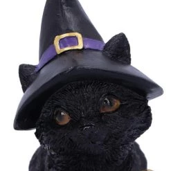 Coupon 🎉 NEMESIS NOW Gothic Homewares Pocus | FIGURINE` ⭐ -DECOR Sales Store nemesis now pocus figurine 5 ddcfb660 2fbb 4dd3 bd11 5ba5041b6c43 700x700