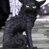 Cheapest 🔥 NEMESIS NOW Cats Salem | FIGURINE` 💯 -DECOR Sales Store nemesis now salem small figure 7 6cc6614c 6b5f 4d9e ab55 64e0e360eada 700x700