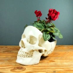 Buy 💯 SUCK UK Gothic Homewares Skull | BOWL [WHITE] 💯 -DECOR Sales Store skull white tidy 1 700x700