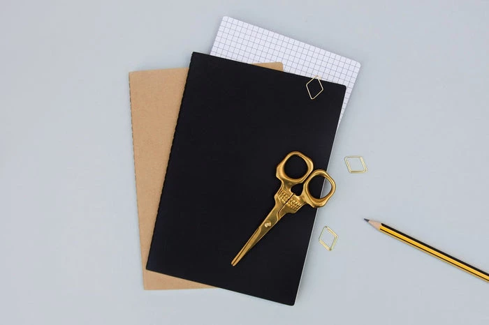 Hot Sale ๐ SUCK UK ๐ง Halloween Skull | SCISSORS โญ 11 Hot Sale ๐ SUCK UK ๐ง Halloween Skull | SCISSORS โญ - Image 9