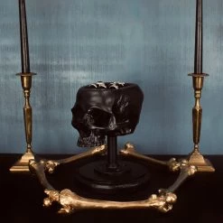 Flash Sale 🌟 THE BLACKENED TEETH Gothic Homewares Skull [Black] | JEWELLERY HOLDER 😍 -DECOR Sales Store the blackened teeth skull black jewellery holder 2 511b73b6 0651 4a4f b07a 466ad38d850f 700x700