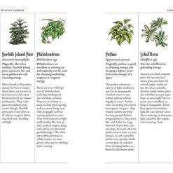 Coupon ✨ MISCELLANEOUS Witchcraft The Green Witch's Garden | BOOK 🧨 -DECOR Sales Store the green witchs garden book 4 53f89ce7 70fa 4491 aba6 ceba79fff3b0 700x700