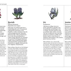 Coupon ✨ MISCELLANEOUS Witchcraft The Green Witch's Garden | BOOK 🧨 -DECOR Sales Store the green witchs garden book 5 ea4899a1 9875 49bd 8204 70f2ebc04eef 700x700