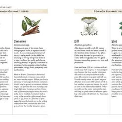 Coupon ✨ MISCELLANEOUS Witchcraft The Green Witch's Garden | BOOK 🧨 -DECOR Sales Store the green witchs garden book 6 14a3ab6f 860c 4f55 a255 788fa0177c7a 700x700