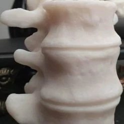 Best Pirce 🌟 WIXCRAFT CANDLES Gothic Homewares Vertebrae | CANDLE` 🥰