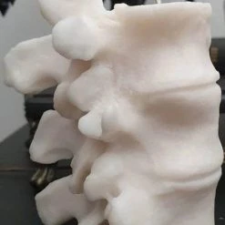 Best Pirce 🌟 WIXCRAFT CANDLES Gothic Homewares Vertebrae | CANDLE` 🥰 10 Best Pirce 🌟 WIXCRAFT CANDLES Gothic Homewares Vertebrae | CANDLE` 🥰 -DECOR Sales Store wixcraft candles vertebrae candle 2 cef8d104 8c9f 4768 9570 b27f806f70ac 700x700