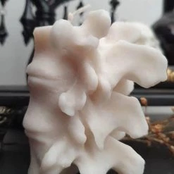 Best Pirce 🌟 WIXCRAFT CANDLES Gothic Homewares Vertebrae | CANDLE` 🥰 11 Best Pirce 🌟 WIXCRAFT CANDLES Gothic Homewares Vertebrae | CANDLE` 🥰 -DECOR Sales Store wixcraft candles vertebrae candle 3 715f0224 a9ac 4c4d 9c81 c7380d2fd150 700x700