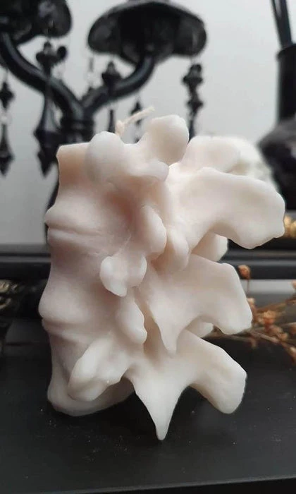 Best Pirce 🌟 WIXCRAFT CANDLES Gothic Homewares Vertebrae | CANDLE` 🥰 7 Best Pirce 🌟 WIXCRAFT CANDLES Gothic Homewares Vertebrae | CANDLE` 🥰 - Image 5